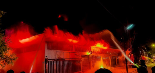 Des animaux périssent dans un incendie de magasin