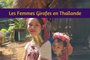 Rencontre avec les Femmes Girafes en Thaïlande