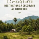 Scène colorée des temples d'Angkor au Cambodge