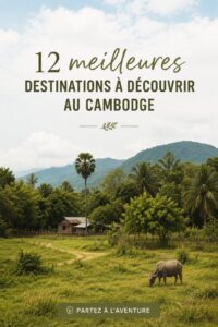 Scène colorée des temples d'Angkor au Cambodge