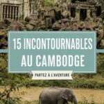Un paysage majestueux des temples d'Angkor, symbole du Cambodge.