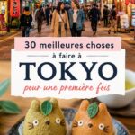 Vue panoramique de Tokyo, montrant la skyline emblématique et ses attractions