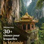 Vue d'un marché animé en Malaisie, mettant en évidence la culture locale.