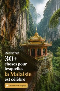 Vue d'un marché animé en Malaisie, mettant en évidence la culture locale.