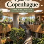 Vue panoramique de Copenhague mettant en valeur son architecture colorée et ses canaux.