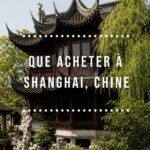 Vue d'un marché à Shanghai avec des souvenirs typiques et artisanaux