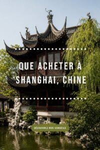 Vue d'un marché à Shanghai avec des souvenirs typiques et artisanaux