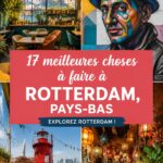 Vue panoramique de Rotterdam avec ses bâtiments modernes et son port