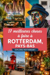 Vue panoramique de Rotterdam avec ses bâtiments modernes et son port