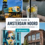 Vue panoramique d'Amsterdam Noord avec ses bâtiments modernes et ses espaces verts.