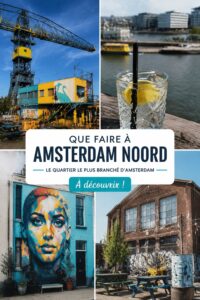 Vue panoramique d'Amsterdam Noord avec ses bâtiments modernes et ses espaces verts.
