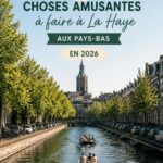 Vue panoramique sur La Haye, mettant en avant ses bâtiments emblématiques et ses espaces verts