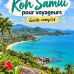 Plage de Koh Samui avec palmiers et sable fin