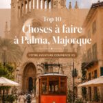 Vue panoramique de Palma, capitale de Majorque, avec sa cathédrale emblématique en arrière-plan.