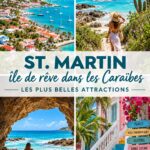 Vue panoramique de la plage de Saint-Martin avec des eaux cristallines et des palmiers.