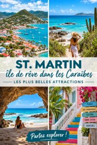 Vue panoramique de la plage de Saint-Martin avec des eaux cristallines et des palmiers.