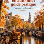 Vue d'un canal à Amsterdam entouré d'arbres aux couleurs d'automne