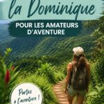 Paysage verdoyant de la Dominique, idéal pour l'aventure en plein air.