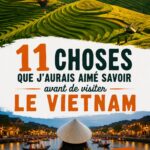 Un paysage pittoresque du Vietnam montrant des rizières en terrasses