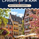 Un bateau de croisière naviguant sur le Rhin, avec des châteaux et des paysages verdoyants en arrière-plan.