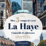 Vue panoramique de La Haye avec ses bâtiments historiques et ses canaux.