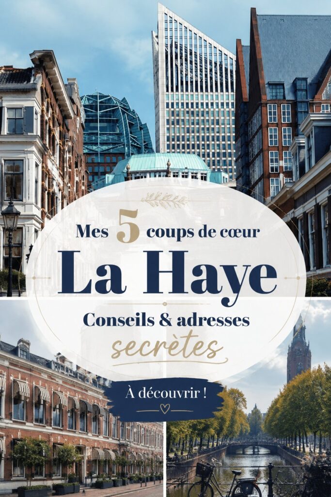Vue panoramique de La Haye avec ses bâtiments historiques et ses canaux.