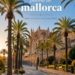 Vue panoramique de Palma de Majorque avec la cathédrale en arrière-plan