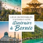 Paysage spectaculaire de la jungle à Borneo avec des montagnes en arrière-plan
