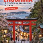 Vue panoramique d'Enoshima avec ses plages mythiques et son temple.