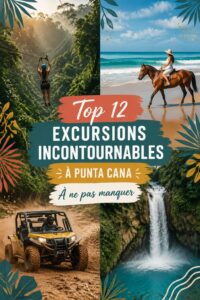 Un tableau coloré d'une excursion à Punta Cana avec des plages turquoises