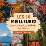 Excursion d'une journée en vue panoramique de Tokyo