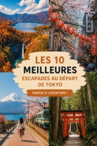 Excursion d'une journée en vue panoramique de Tokyo