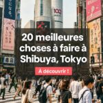 Quartier animé de Shibuya à Tokyo, avec le célèbre passage piéton et la statue de Hachiko.