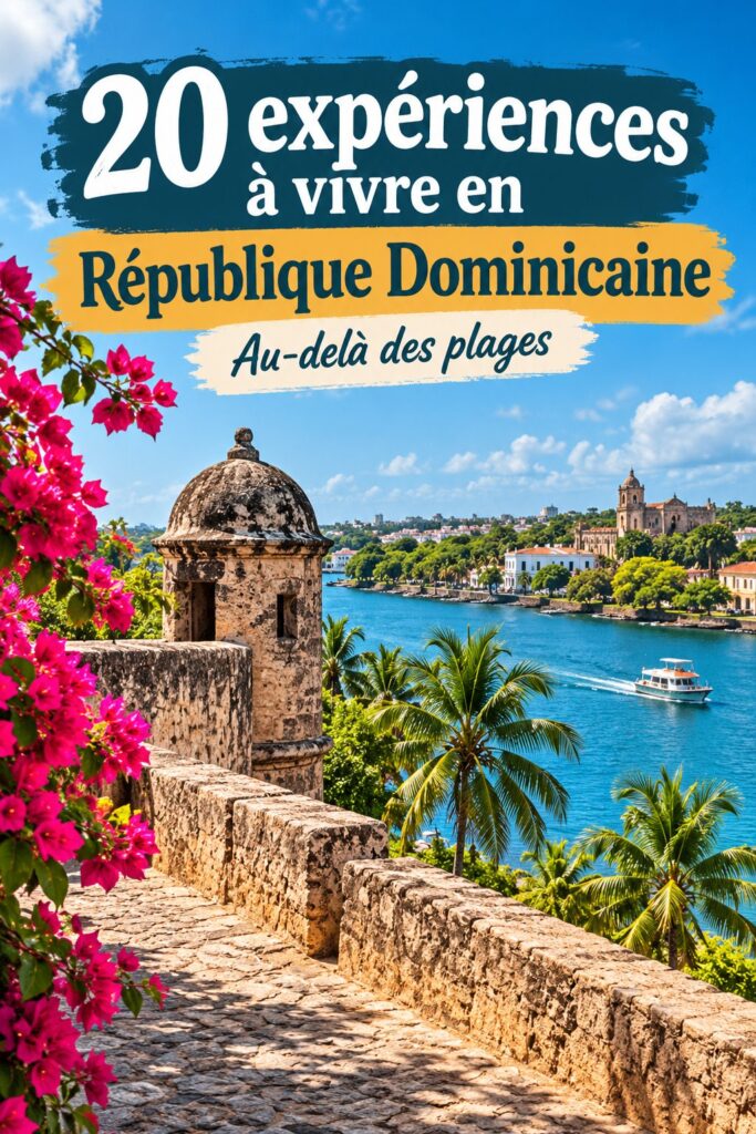 Plage en République Dominicaine avec palmiers et eaux turquoise
