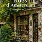Rues pittoresques d'Amsterdam reflétant l'architecture néerlandaise