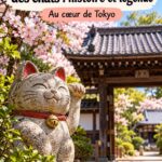 Temples de Gotoku-ji avec des statues de chats en bois en début de printemps.