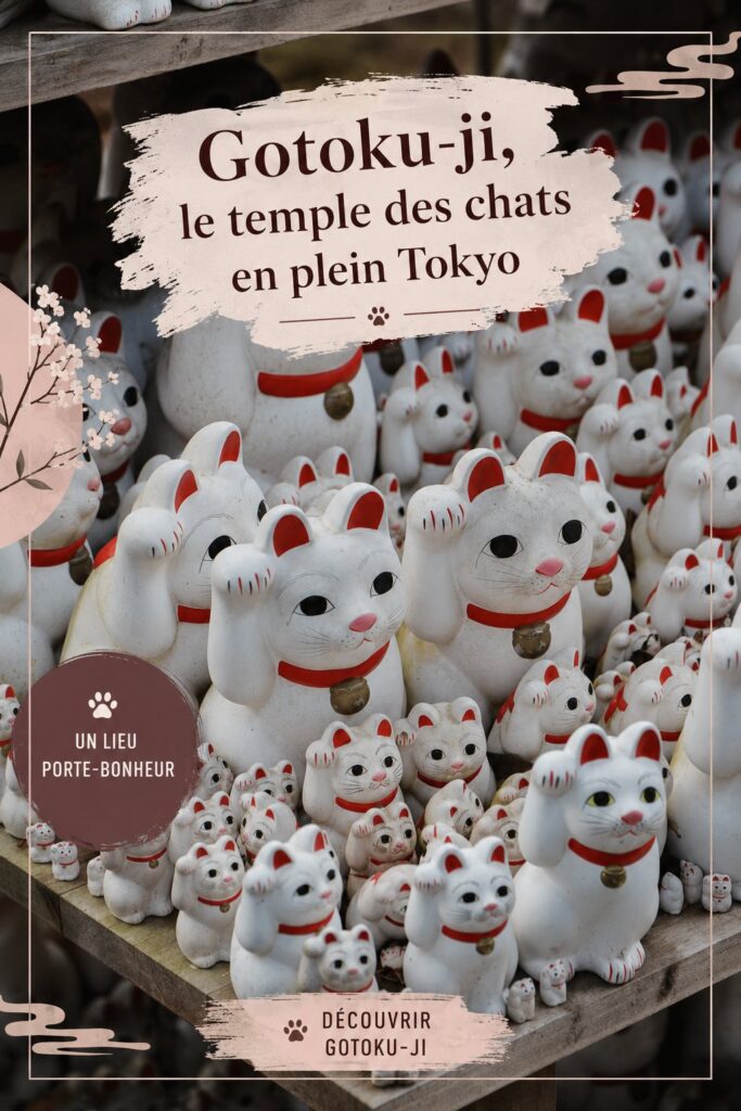 Temple Gotoku-ji à Tokyo, refuge pour les chats avec ses statues et jardins