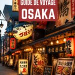 Vue panoramique d'Osaka, avec ses gratte-ciels et ses temples traditionnels, illustrant la diversité de la ville.