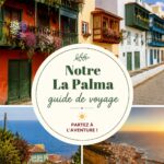 Un paysage panoramique de La Palma avec ses montagnes verdoyantes et l'océan en arrière-plan.
