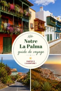 Un paysage panoramique de La Palma avec ses montagnes verdoyantes et l'océan en arrière-plan.