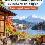 Vue des sources chaudes de Hakone entourées de nature verdoyante, symbole d'une évasion japonaise.