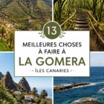 Vue panoramique de La Gomera avec des montagnes verdoyantes et des paysages côtiers