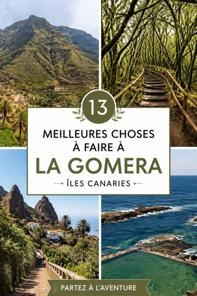 Vue panoramique de La Gomera avec des montagnes verdoyantes et des paysages côtiers