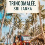 Plage de Trincomalee avec ciel bleu et palmiers, Sri Lanka.