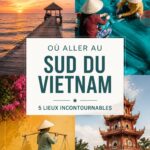 Plage paradisiaque du Sud Vietnam avec des palmiers et une eau turquoise