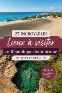 Plage paradisiaque en République Dominicaine avec palmiers et eaux turquoises