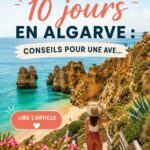 Vue panoramique de la côte dalmate avec des falaises et la mer turquoise