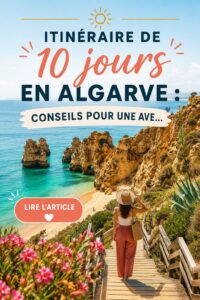 Vue panoramique de la côte dalmate avec des falaises et la mer turquoise