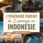 Itinéraire de voyage en Indonésie avec des paysages tropicaux