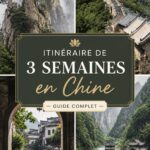 Un paysage emblématique de la Grande Muraille de Chine.